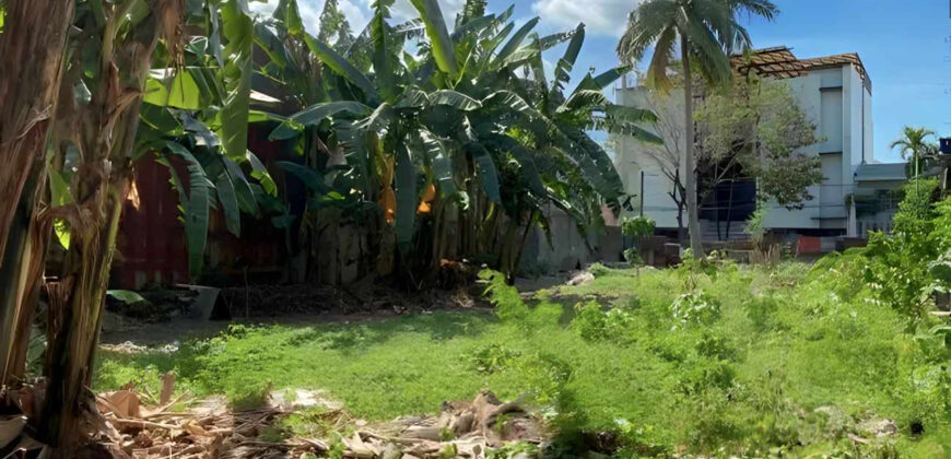 Lot for Sale in San Antonio Village, Makati City