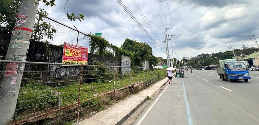 Commercial Lot For Sale in Lower Antipolo