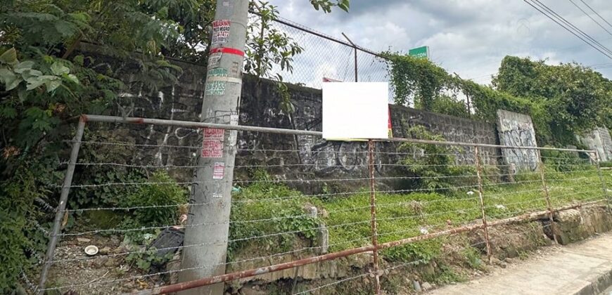 Commercial Lot For Sale in Lower Antipolo