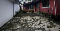 House and lot commercial area in Visayas Avenue Quezon City