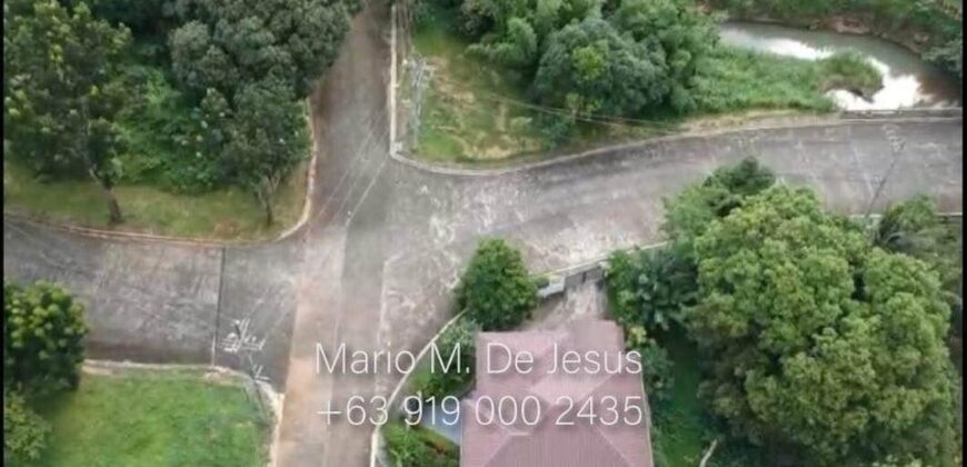 Lot For Sale in Sun Valley Antipolo