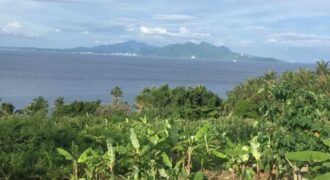 Beach Front Lot for Sale in Tingkoy Batangas