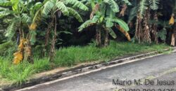 Lot For Resale in Palos Verdes Antipolo