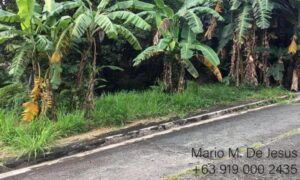 Lot For Resale in Palos Verdes Antipolo