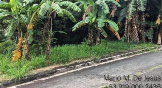 Lot For Resale in Palos Verdes Antipolo