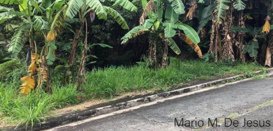 Lot For Resale in Palos Verdes Antipolo