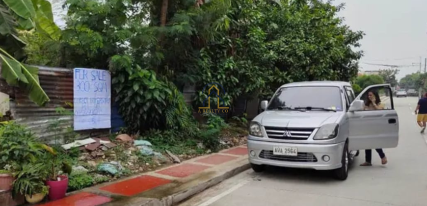 Commercial Lot For Sale in Regalado Quezon City