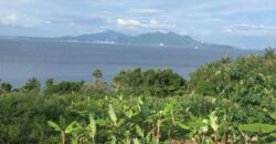 Beach Front Lot for Sale in Tingkoy Batangas