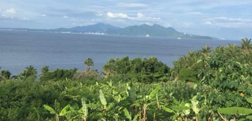 Beach Front Lot for Sale in Tingkoy Batangas