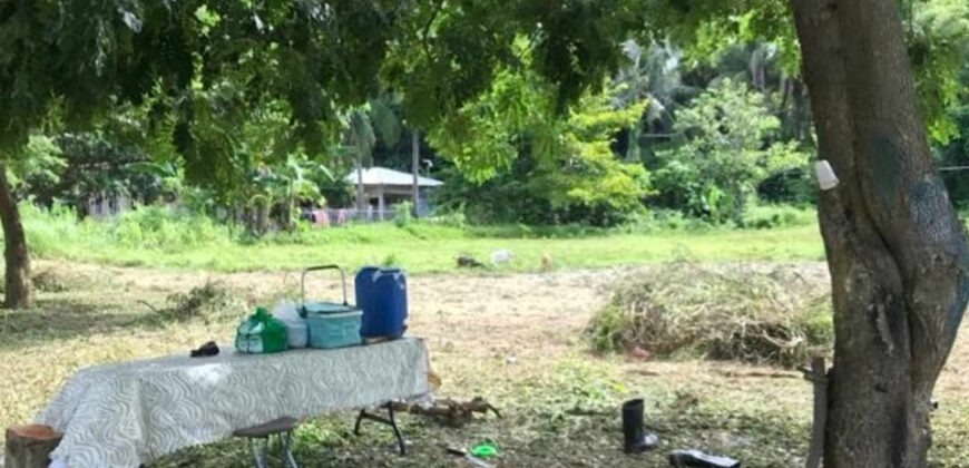 Lot for Sale near Beach in Mabini Batangas