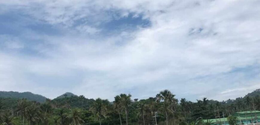 Beach Front Lot for Sale in Tingkoy Batangas