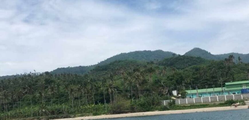 Beach Front Lot for Sale in Tingkoy Batangas