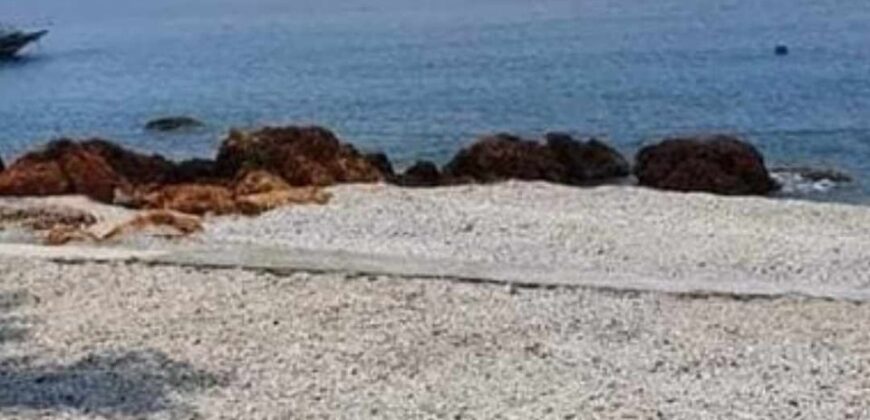 Beach Front Lot For Sale in Gamao Batangas