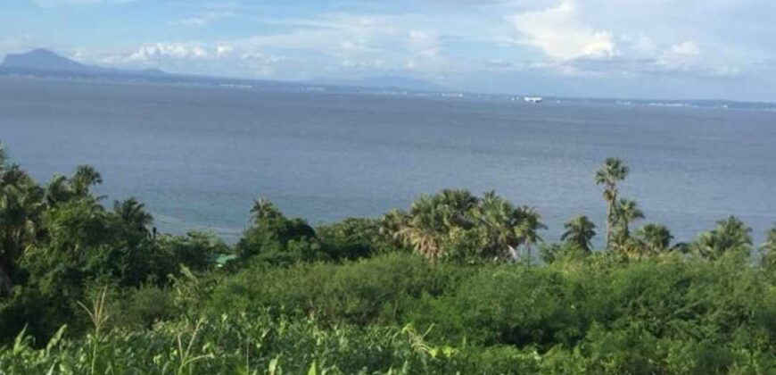 Beach Front Lot for Sale in Tingkoy Batangas