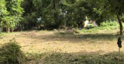 Lot for Sale near Beach in Mabini Batangas