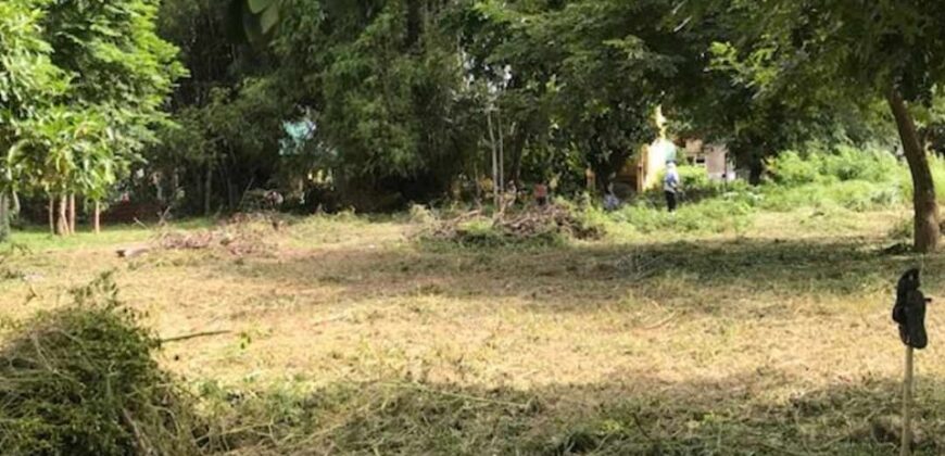 Lot for Sale near Beach in Mabini Batangas