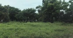 Lot for Sale near Beach in Mabini Batangas