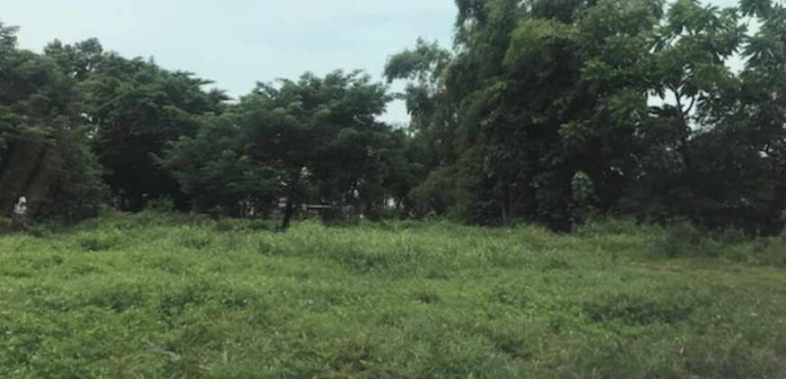 Lot for Sale near Beach in Mabini Batangas