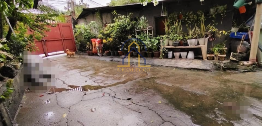 House and Lot and Warehouse For Sale in Novaliches Quezon City