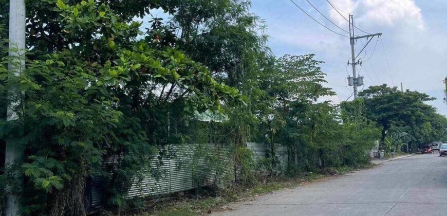 Lot For Sale in Malolos Bulacan