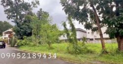 Lot for Sale in Casa Milan Quezon City