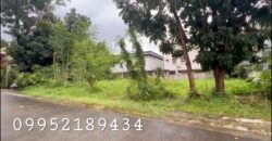 Lot for Sale in Casa Milan Quezon City