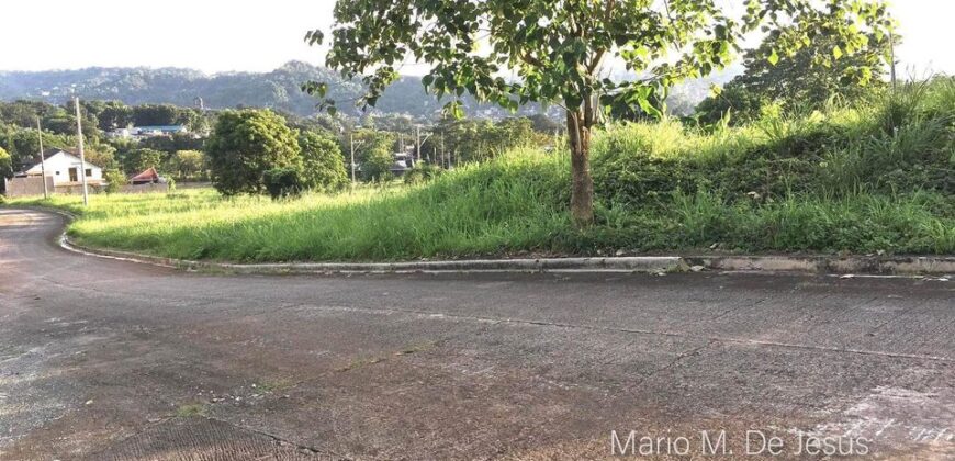 Lot For Resale in Eastland Heights Antipolo City