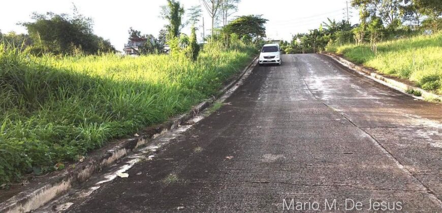 Lot For Resale in Eastland Heights Antipolo City