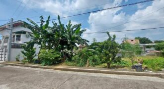 Lots For Sale in Greenview Executive Village Antipolo City
