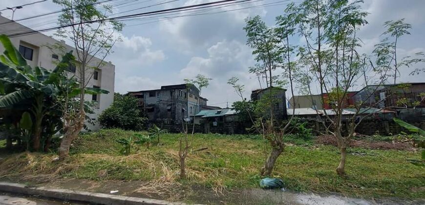 Lots For Sale in Greenview Executive Village Antipolo City