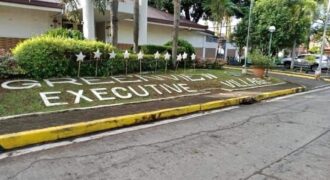 Lot For Sale in Greenview Executive Village Quezon City