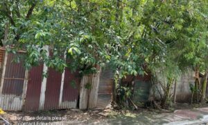 Lot For Sale in Novaliches Quezon City