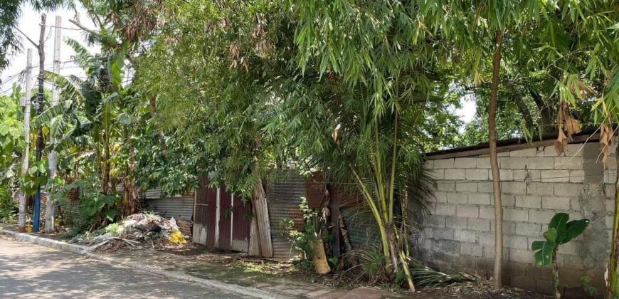 Lot For Sale in Novaliches Quezon City