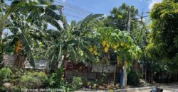 Lot For Sale in Novaliches Quezon City