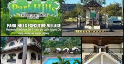 Lot For Sale in Antipolo City