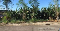 Lot For Sale in Richdale Antipolo