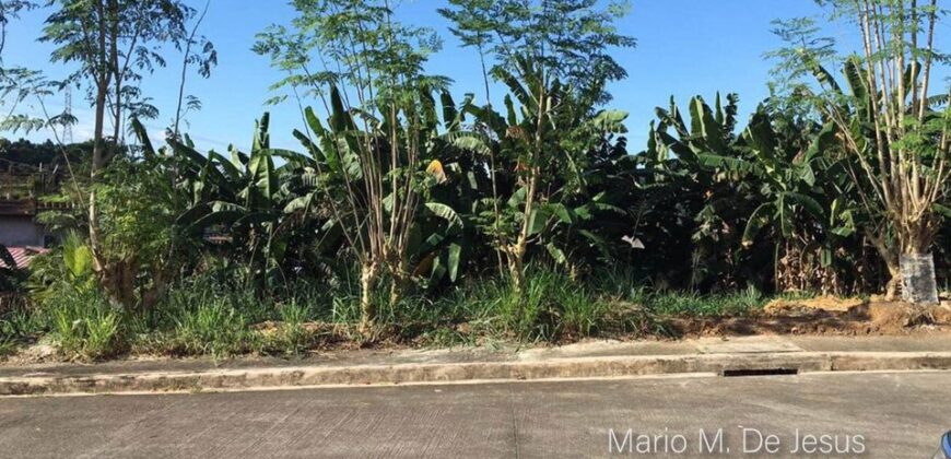 Lot For Sale in Richdale Antipolo