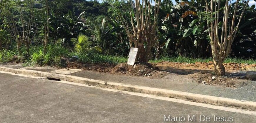 Lot For Sale in Richdale Antipolo