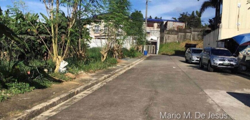 Lot For Sale in Richdale Antipolo