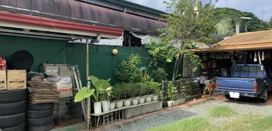 House and Lot For Sale in UP Village Diliman Quezon City