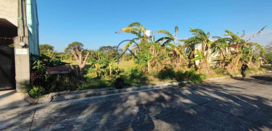 Lot for Sale in Metro South Executive Village, Governor’s Drive, General Trias Cavite