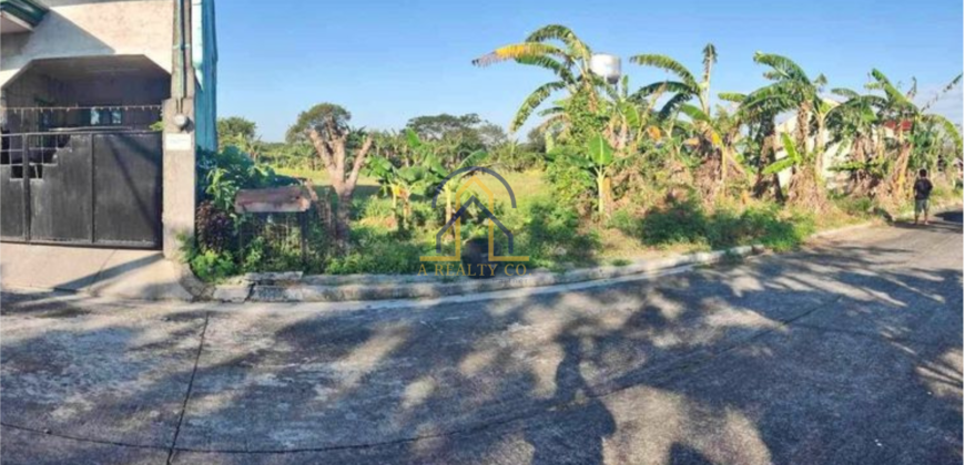 Lot for Sale in Metro South Executive Village, Governor’s Drive, General Trias Cavite