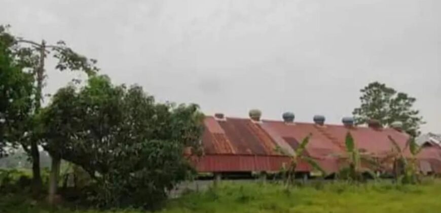 Farmhouse and Lot For Sale at Nueva Ecija, Cabanatuan City