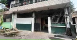 2 Storey House and Lot For Sale in Novaliches ,Quezon City