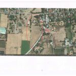 Agricultural Lot For Sale in Manaoag, Pangasinan