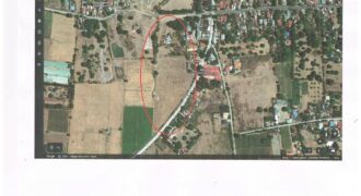 Agricultural Lot For Sale in Manaoag, Pangasinan