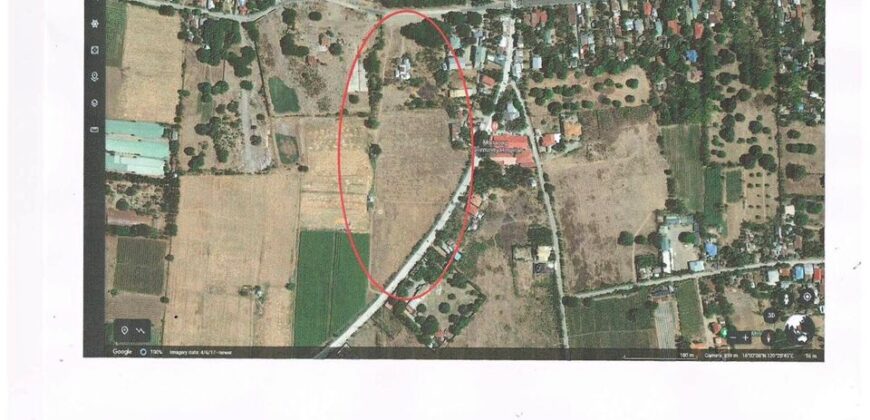 Agricultural Lot For Sale in Manaoag, Pangasinan