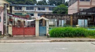 LOT FOR SALE in NOVALICHES QUEZON CITY