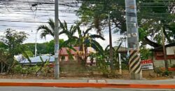 Commercial Lot For Sale in North Caloocan