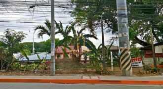 Commercial Lot For Sale in North Caloocan